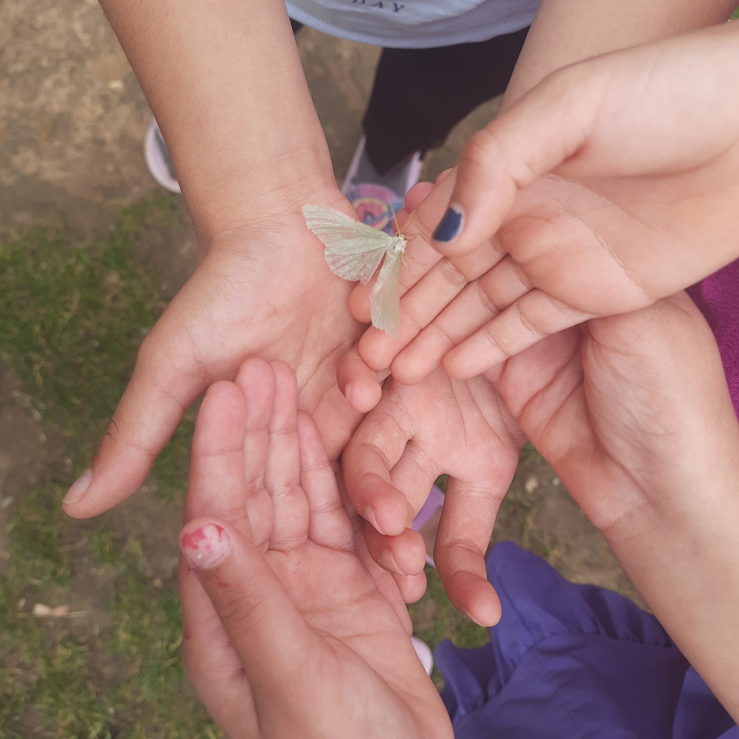 Kinder von Teilnhemenden der Sprachtrainings für Deutsch finden einen Schmetterling.
